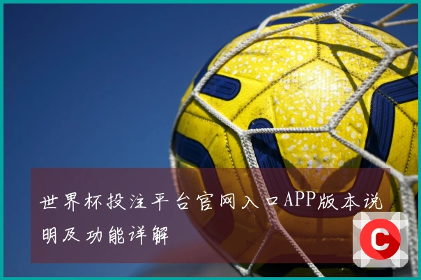 世界杯投注平台官网入口APP版本说明及功能详解