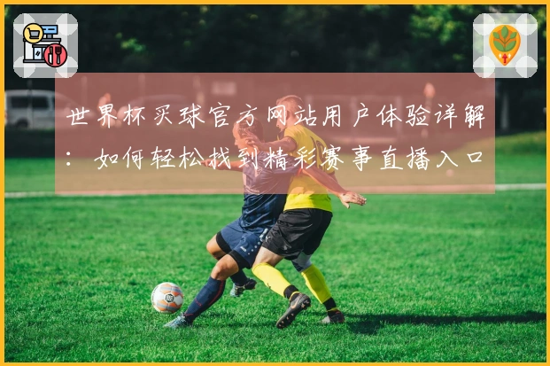 世界杯买球官方网站用户体验详解：如何轻松找到精彩赛事直播入口