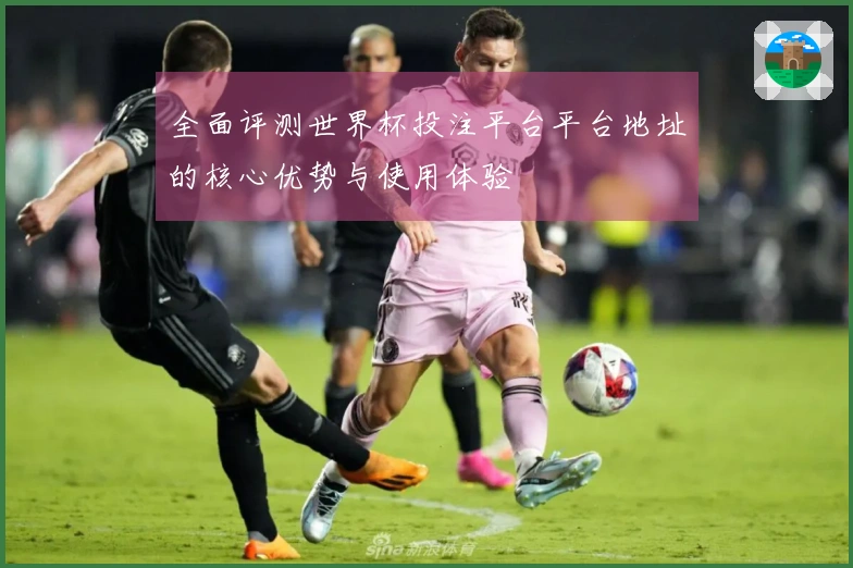 全面评测世界杯投注平台平台地址的核心优势与使用体验
