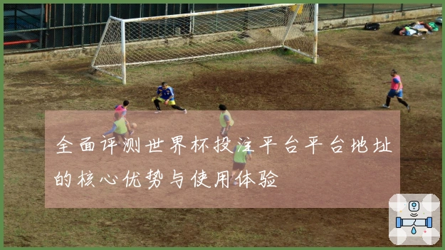 全面评测世界杯投注平台平台地址的核心优势与使用体验