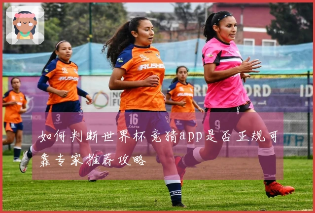 如何判断世界杯竞猜app是否正规可靠专家推荐攻略