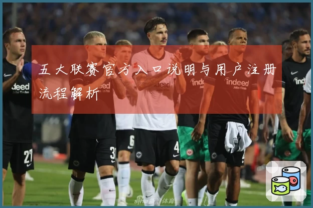 五大联赛官方入口说明与用户注册流程解析