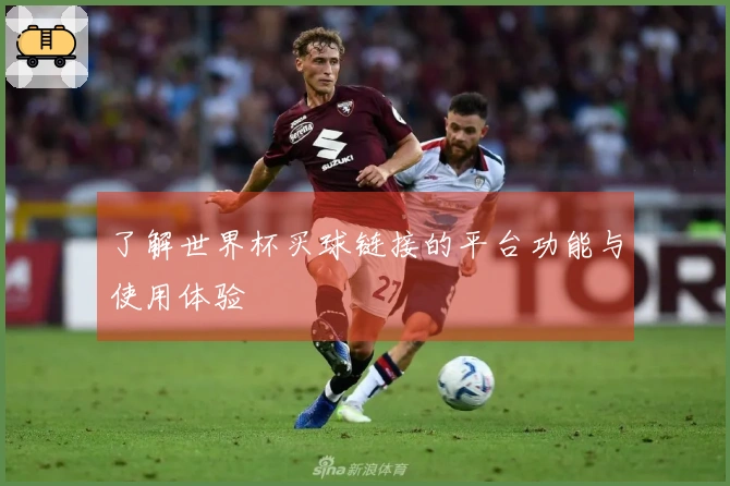 了解世界杯买球链接的平台功能与使用体验