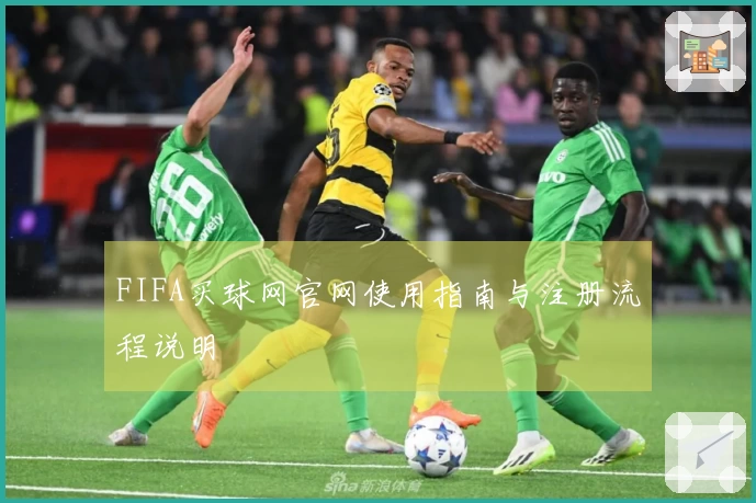 FIFA买球网官网使用指南与注册流程说明